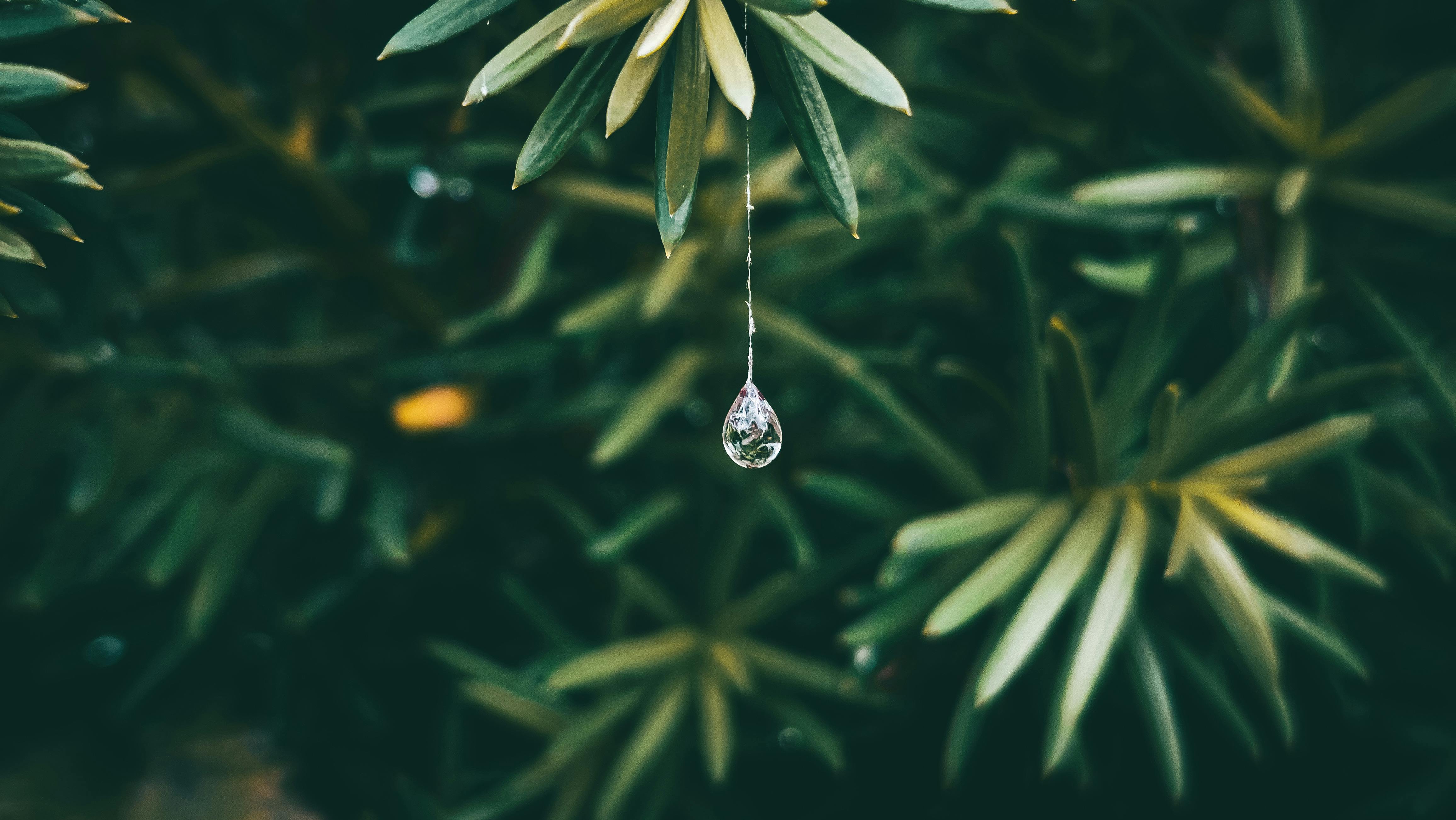 Gota de agua