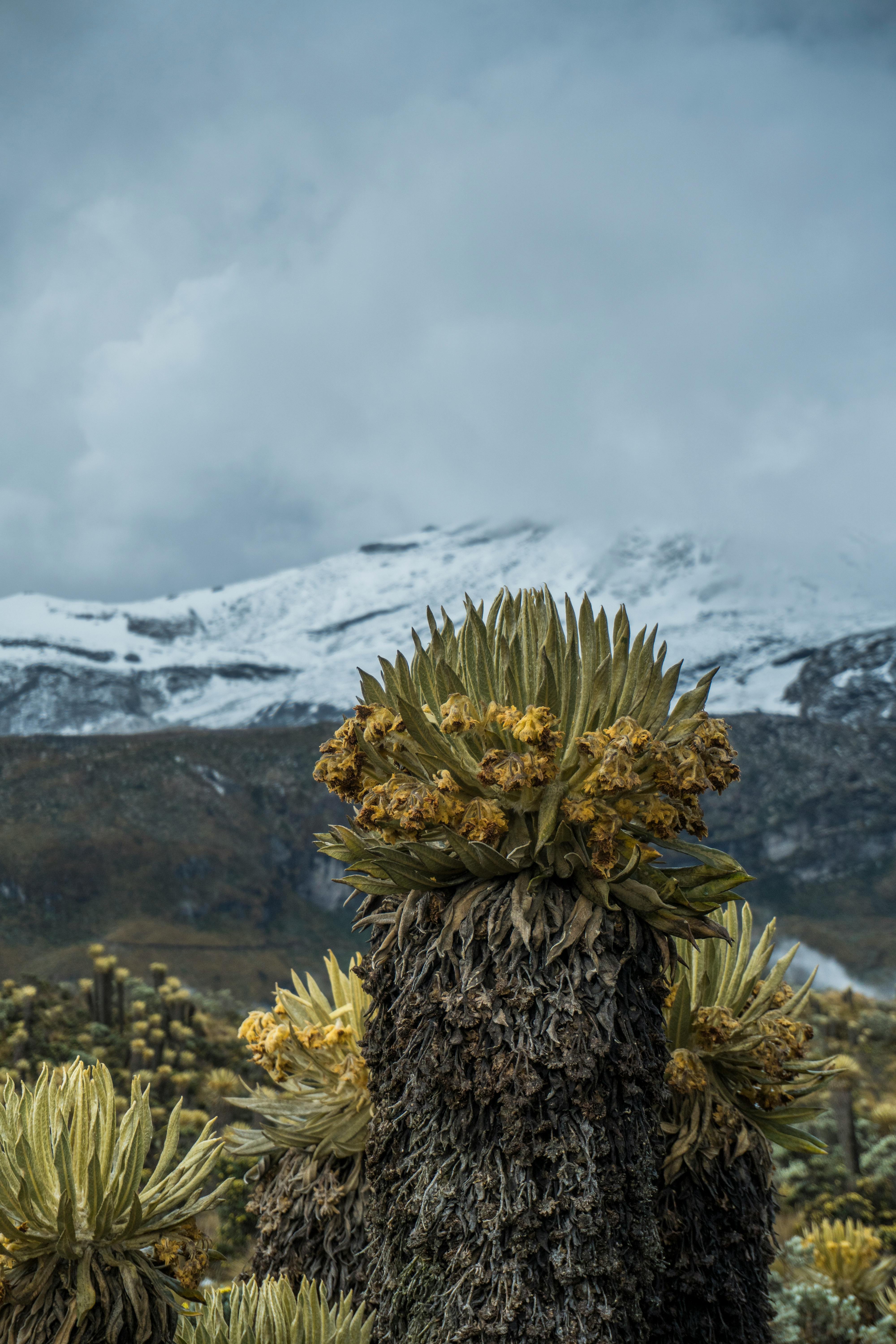 Paisaje Hídrico 5